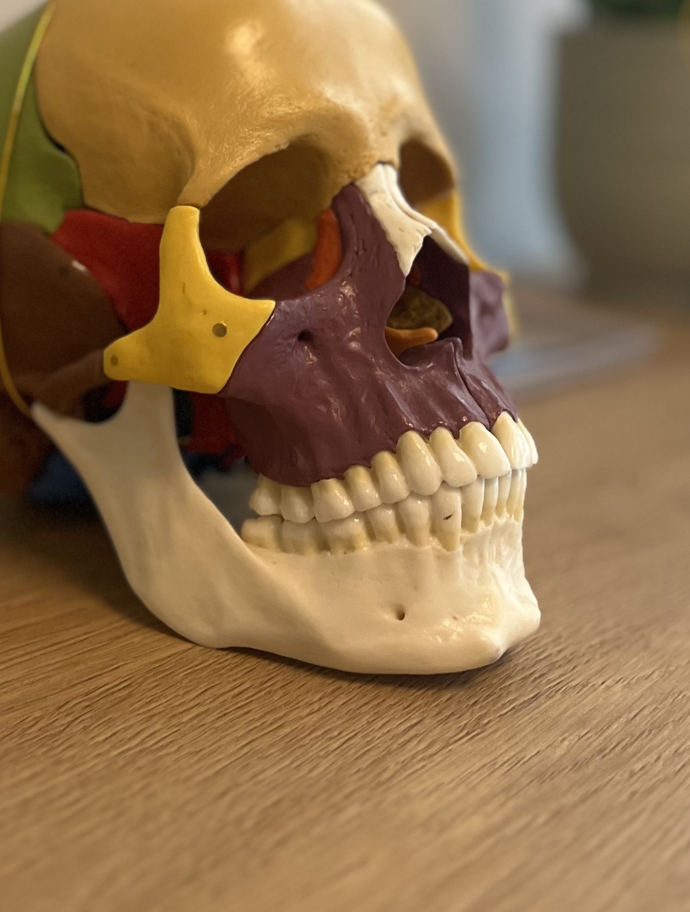 Cranio-Mandibuläre-Dysfunktion: Physiotherapie bei Kieferbeschwerden